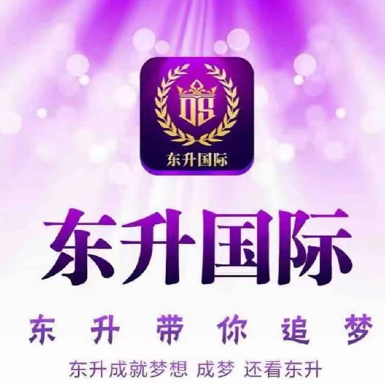 东升国际（首存500送300）