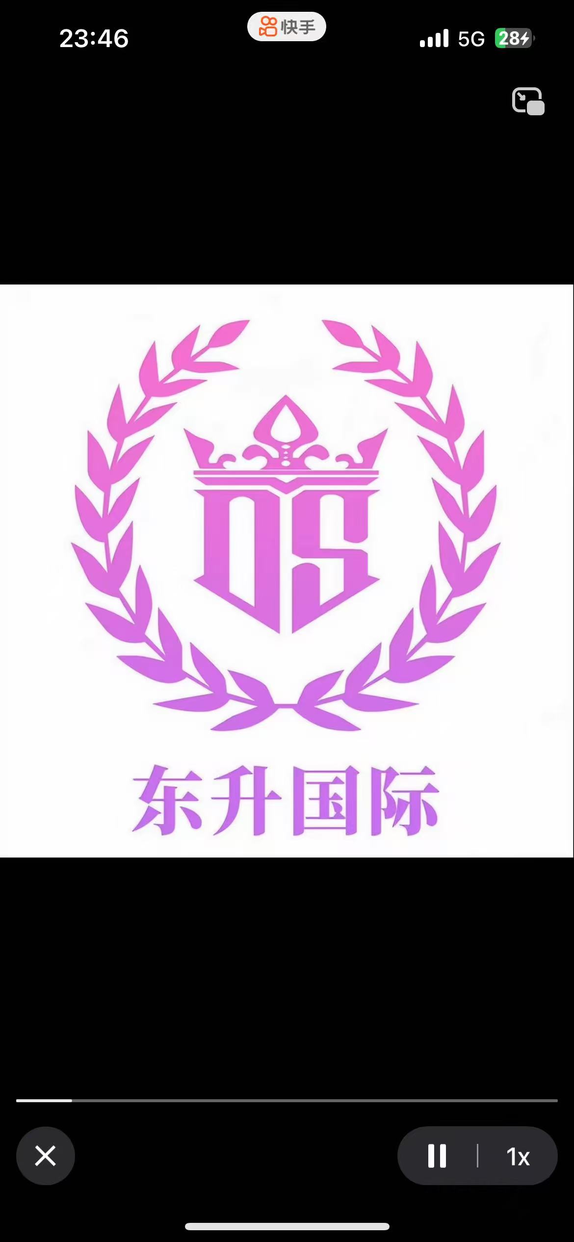 东升国际